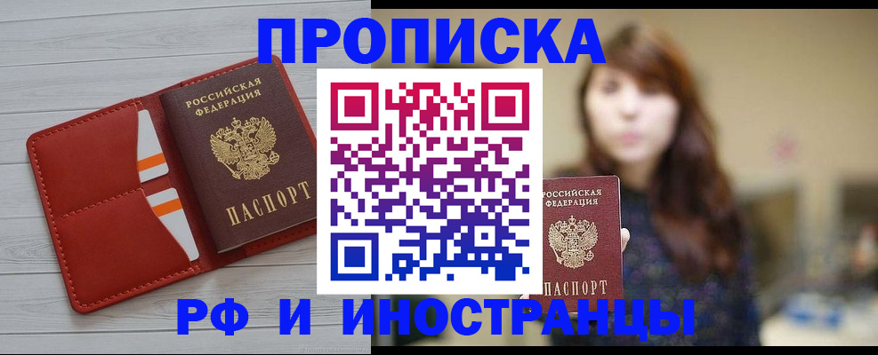 временная регистрация поиск в Димитровграде